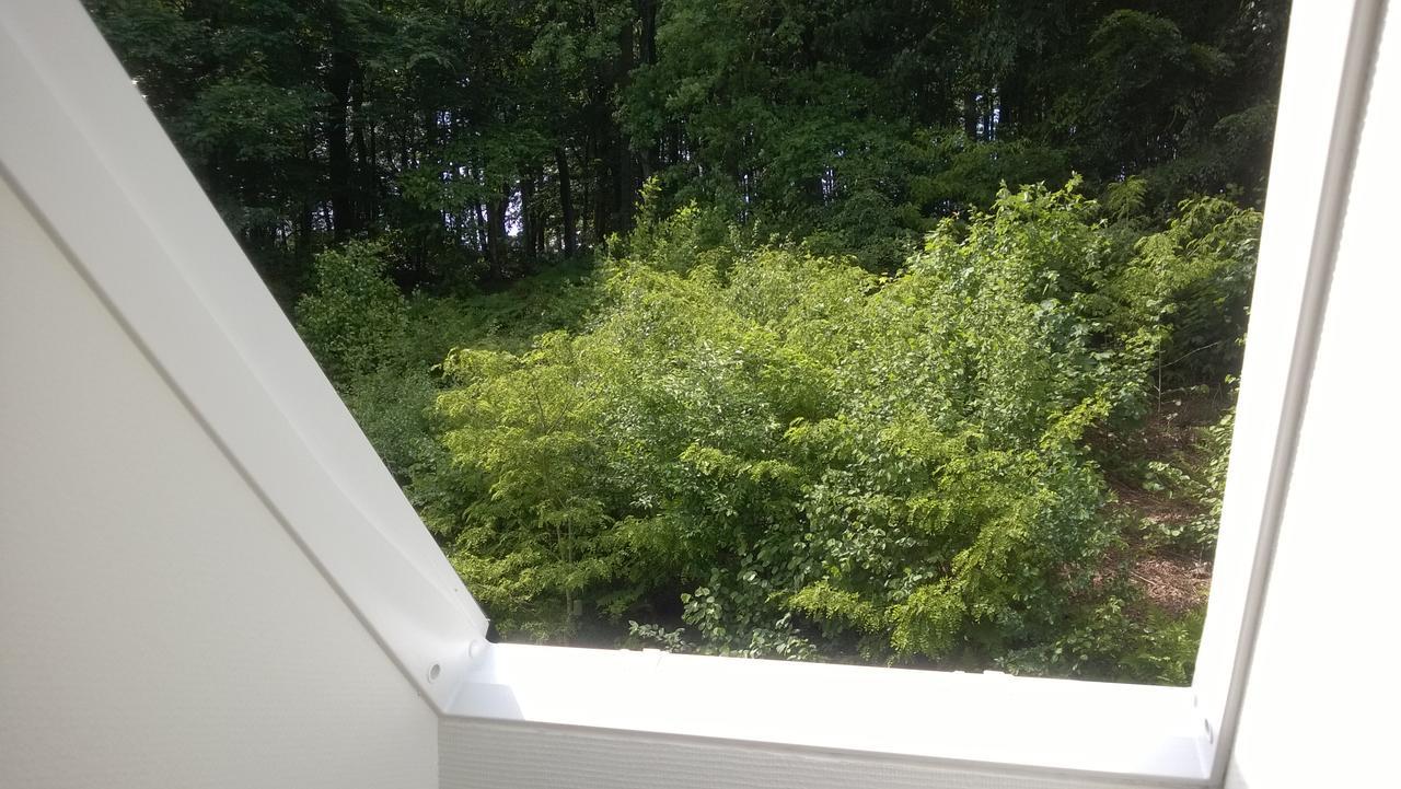 Moselundgaard B/B Og Hestehotel Engesvang Zewnętrze zdjęcie